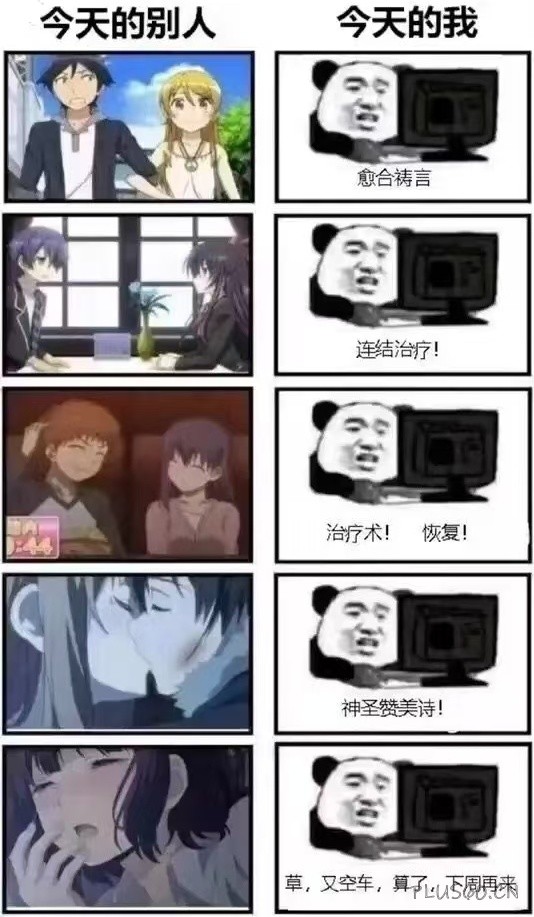 1741056006430059.jpg